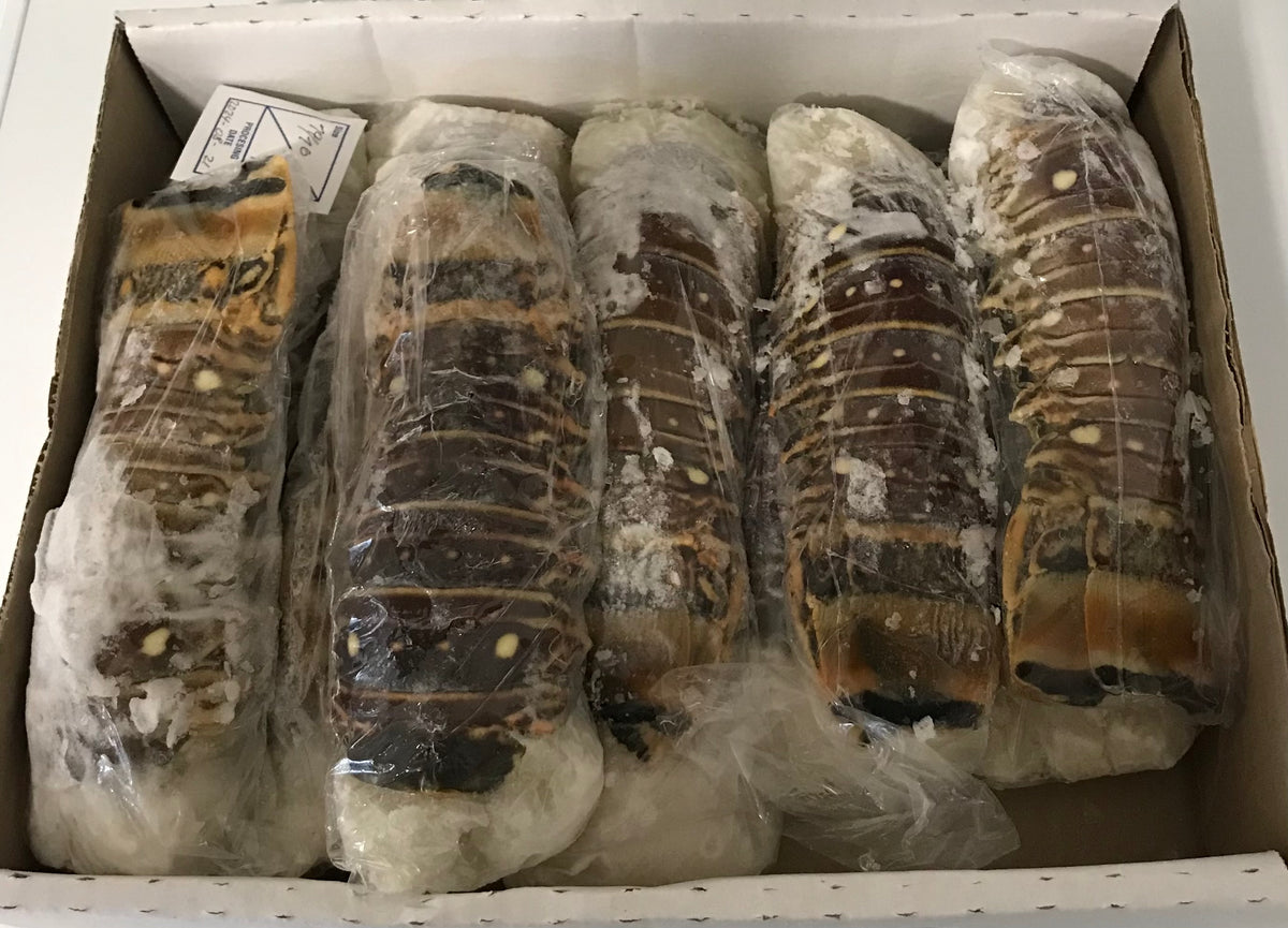 Lobster Tails Warm water 14-16 oz